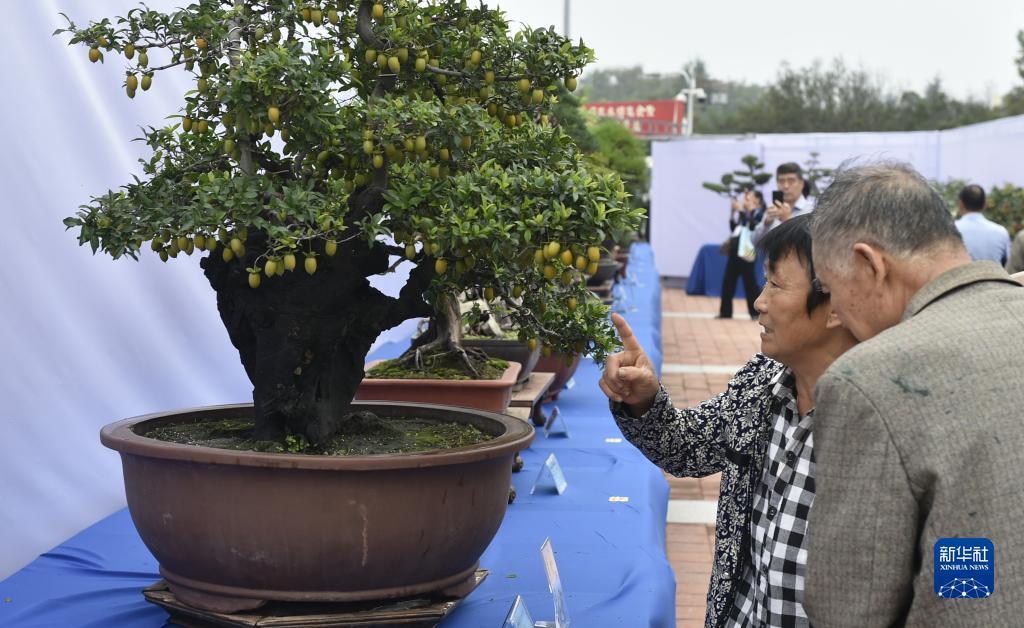 各种老虎机